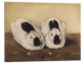 Gallery print Two Himalayan Rabbits