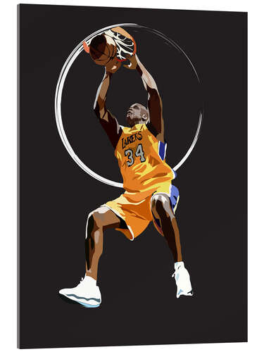 Obraz na szkle akrylowym Shaq Dunk