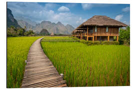 Aluminium print Rice Paddy in Laos