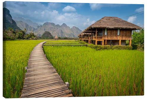 Canvas print Rice Paddy in Laos