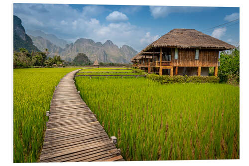 Hartschaumbild Reisfeld in Laos