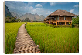 Wood print Rice Paddy in Laos