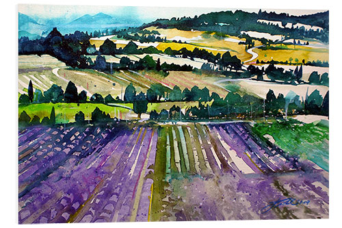 Foam board print Provence, Plateau d`Albion