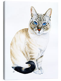 Canvastavla Tiramisu, the Blue-Eyed Cat