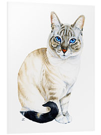 Foam board print Tiramisu, the Blue-Eyed Cat