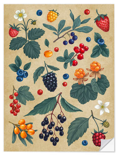 Selvklæbende plakat Forest Berries