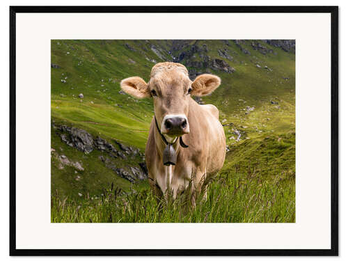 Framed art print Cow on the alpine pasture in Switzerland