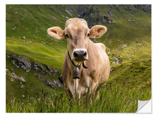 Sticker mural Vache dans les alpages en Suisse