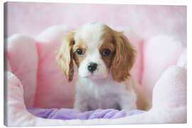 Canvastavla Little dog in a pink basket