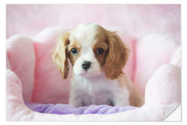 Naklejka na ścianę Little dog in a pink basket