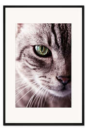 Gerahmter Kunstdruck Der Katzenblick