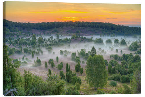 Canvas print Totengrund in the Lüneburg Heath