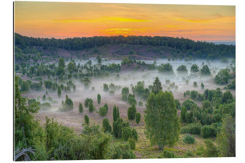 Gallery print Totengrund in the Lüneburg Heath