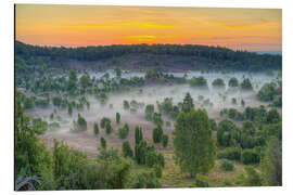 Magnettafel Totengrund in der Lüneburger Heide