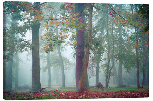 Leinwandbild Herbst im Wald