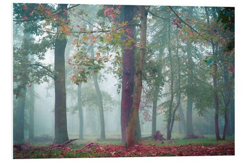 Cuadro de PVC Otoño en el bosque