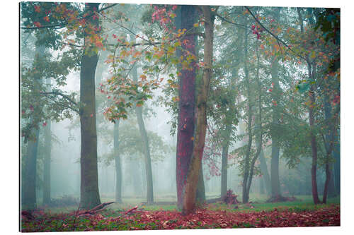 Galleritryk Autumn in the forest