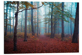 Aluminium print Fog in autumn forest