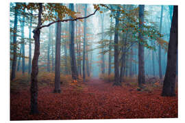 Foam board print Fog in autumn forest