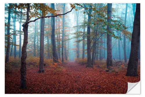 Wall sticker Fog in autumn forest