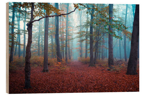 Holzbild Nebel in Herbstwald