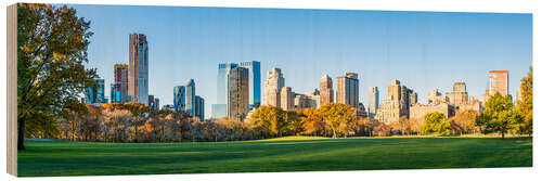 Wood print New York Central Park in the fall