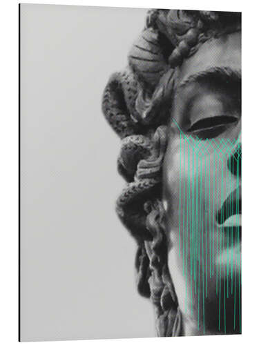 Aluminium print LDN