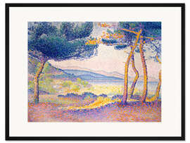 Gerahmter Kunstdruck Kiefern entlang der Küste