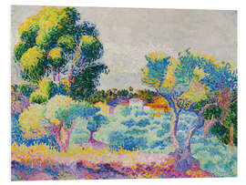 Foam board print Eucalyptus and olive grove