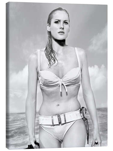 Canvas print Ursula Andress