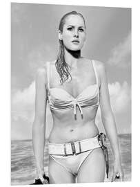 Foam board print Ursula Andress