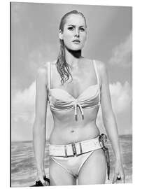 Magnettafel Ursula Andress