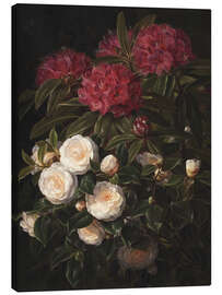 Canvas print Camellias and rhododendrons