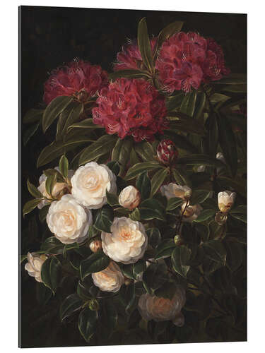 Galleritryck Camellias and rhododendrons