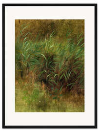 Gerahmter Kunstdruck Schilf Studie