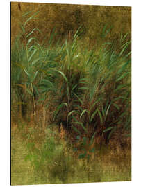 Magnettafel Schilf Studie