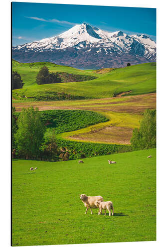 Aluminium print Mount Ruapehu, New Zealand