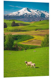 Foam board print Mount Ruapehu, New Zealand