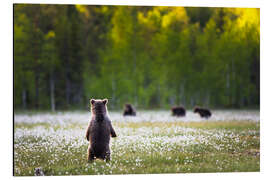 Magnettafel Wo bleibt ihr denn?