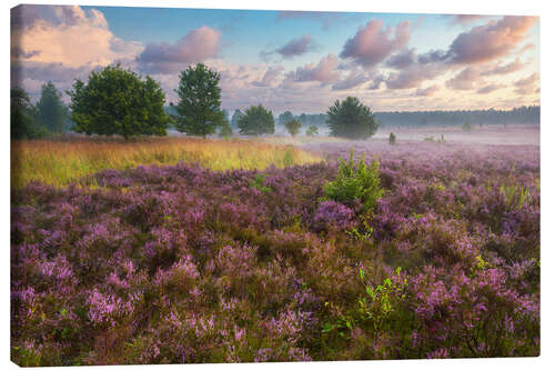 Leinwandbild Morgenstimmung in der Lüneburger Heide