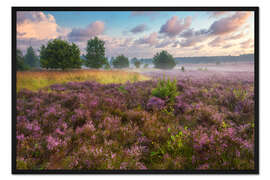 Gerahmter Kunstdruck Morgenstimmung in der Lüneburger Heide