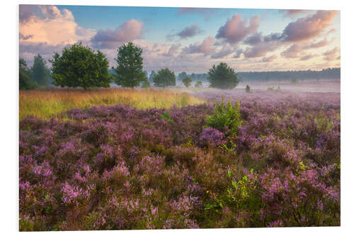 Hartschaumbild Morgenstimmung in der Lüneburger Heide