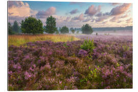 Quadro em plexi-alumínio Clima matinal em Lüneburg Heath