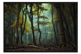 Gerahmter Kunstdruck Eine Lichtung im dunklen Wald