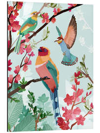 Magnettafel Vögel des Sommers