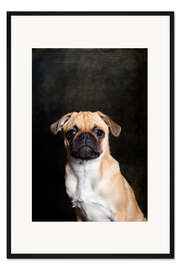 Gerahmter Kunstdruck Mops Welpe
