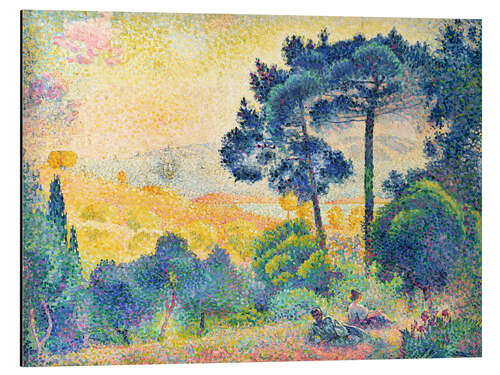 Aluminium print Provence landscape