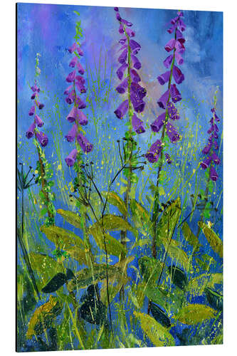 Aluminium print Foxgloves