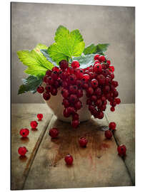 Aluminiumtavla Still life with red currants in a white pot