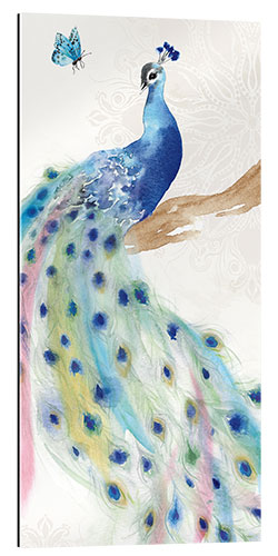 Gallery print Peacock Glory II